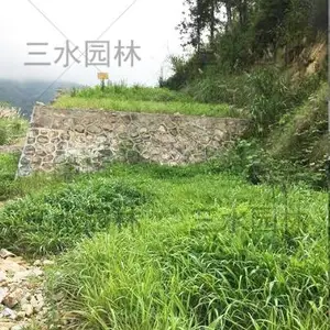 广州边坡绿化客土喷播草籽每平方用量