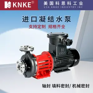 进口水泵 品牌:美国KNKE科恩科