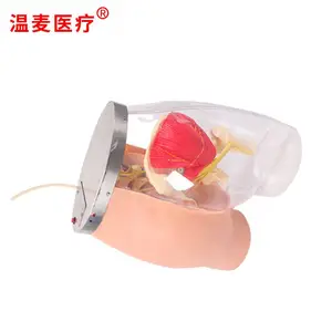����ҽ�� ***�β�����ע�估͸���Ա�ģ�� �����ṹ ��Ѫ��ϵͳ