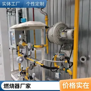 岱鼎600KW天然气燃烧器炭化炉可定制源头厂家
