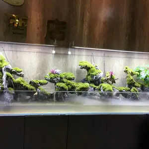 ���ⲣ��ɰ �쾰��ɫ������ ����ʯ��Ĳ������� ΢����װ�β�����