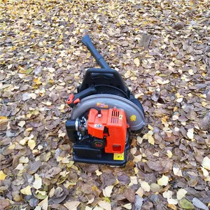 �ĳ���߲˴��ﱳ��ʽ��ѩ����������ʽ���������������·��ɨ��