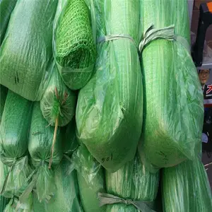 ��ɫ����ɻ����Ŀ�� ����������ú�� ���ٹ�·ʩ��������