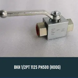 Ball Valve BKH 12PT 1125 (Hoog)球阀