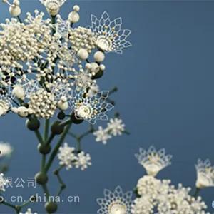 V-Ray Application SDK_��Ⱦ����_�������ع������Ǯ