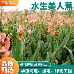 ���� ˮ�����˽����� ˮ�����˽����ع�Ӧ ˮ�����˽���ֲʩ��