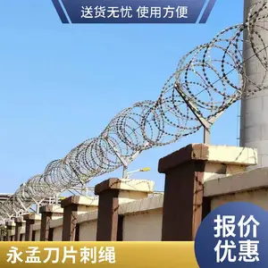 �����ȶ�п��Ƭ���� ������������̷�����Χǽ������˿��