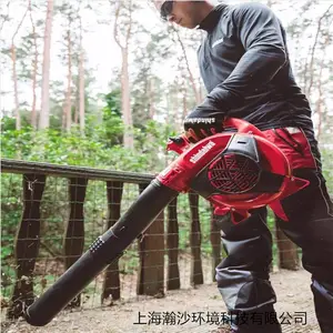 ����ʽEB252���ʹ����԰��ͥԺ����Ҷ���ҳ�����