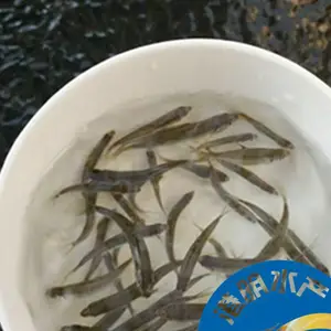 ���������������� ��ˮ����������� �һ����� ���� ����������ֳ��Ƶ�̳�
