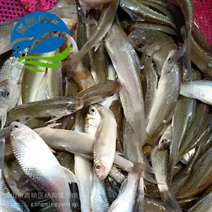 ��Ѩ��������������ˮ��-�������������泡ֱ��-�����û�