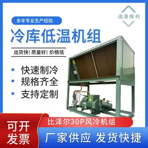 比泽尔30P风冷机组 活塞压缩机六并联冷库低温 螺杆机组
