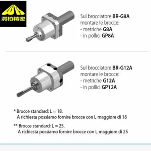 �����BM��ת�����ֽ�BRIGHETTI MECCANICA��ת��������
