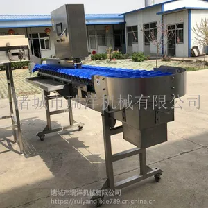 自动重量分级机家禽自动分级机