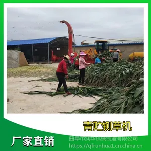 ����������� ������ֳ��ݻ� ��ʪ��Ҷ�����