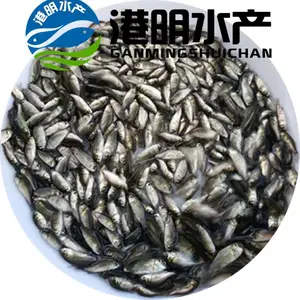 Ĳƽ ʯ�� ���Ǹ۰�������,���������,���� ����