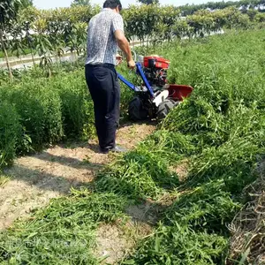���������ո�� С��Ͷ��ͨ���͸�ɹ�� ����ɣ���ո��