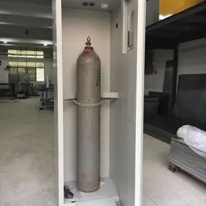 实验室专用设备 气瓶柜,防爆气瓶柜,气瓶安全存放柜