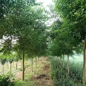 �ؾ�12�����������۸����Ǯһ�ñ���420Ԫ�е����������