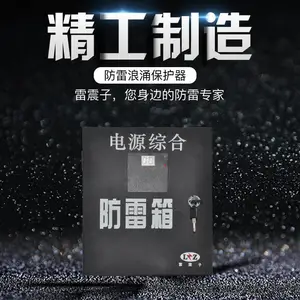 雷震子一级电源防雷箱LZZ-380B/40配电柜一级浪涌保护器