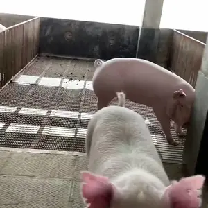 ��©�����ȶ�п��˿����©�����ȶ�п��˿��ֳ©�����ȶ�п��˿