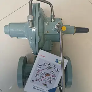 ȼ����ѹ�� 299H��ѹ�� ����RAYGAS ��������