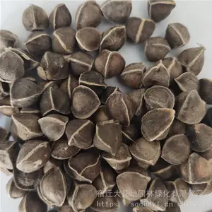 ��������ҩ������ ��ľ���� ��ѿ*** �۸���� ***
