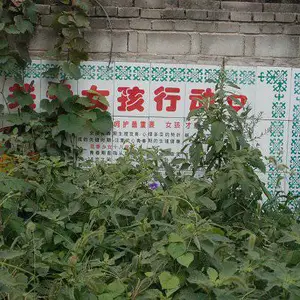 陶瓷背景墙 瓷砖背景墙 哪里能做土地整治瓷砖公示牌