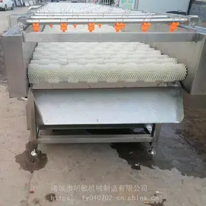 ������ĵ����ϴ�� ��ѹ���������ϴ�� ĵ��ëˢ��ϴ�� ����������Ч***