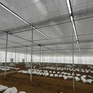 无锡江阴草莓大棚钢管 蔬菜大棚 养殖大棚厂家 大棚薄膜厂