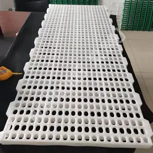 育雏款小孔鸡粪板 塑料漏粪板 鸡鸭鹅用漏粪板规格120*50厘米源头厂家
