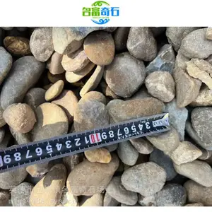 广东鹅卵石污水处理 广东鹅卵石滤料 广东变压器鹅卵石垫层批发市场