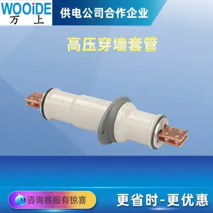 ���� 10KV��ѹĸ��ʽ��ǽ�׹� CM-10/90-160��ɫ�մ��׹�CMW-20