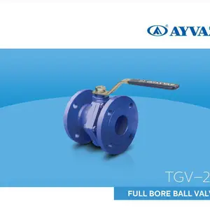 Ayvaz�򷧷���TGV-25ϵ����ī���������������о�ֱ�ֱͨ��