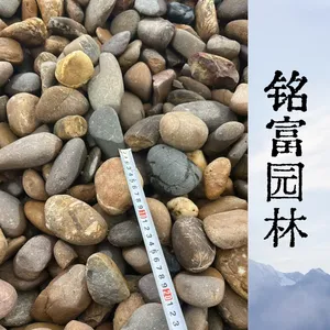 大亚湾需要什 么尺寸的鹅卵石呢 惠 阳110千伏输变电站5-8公分鹅卵石