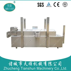 新款自动TSZQ-40型燃气肉饼上色设备【油炸馅饼机】