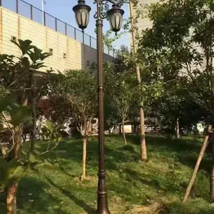 ̫���ܻ���ͥԺ�Ƽ�����������������Ӧһ��һ�¿�·������Զ���
