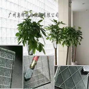 厂家供应夹丝玻璃,防火防盗钢丝夹丝玻璃 进口夹丝玻璃