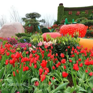 星硕辰 立体花坛造型 大型花架立体花坛 定制加工
