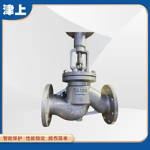 ���ϲ��ɵ� �糧���ַ����綯��ֹ�� J941H-16C DN65 DN80 DN100
