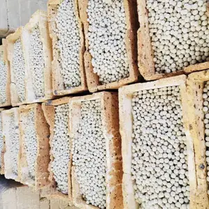 ��Ӧ�������������� ������ ������ʹ��6-8��