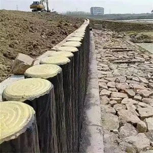 ˮ���ľ׮���� ������̳Χ�� ������Ԥ�ƺӵ�԰�־��۷�����׮
