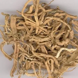 中药材远志种子哪里有卖?1级良种产地直销