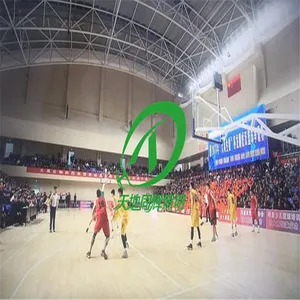 综合体育中心照明灯|天地同辉牌LED球馆灯|16米以上体育馆比赛照明灯