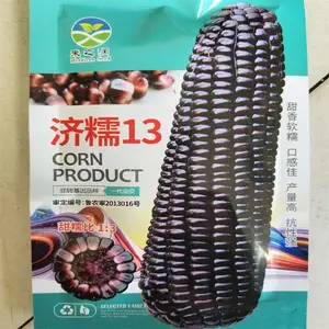 穗大高产黑糯玉米种子 黑甜糯玉米种子