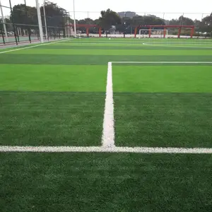 �����̵��ʱ�PE��������ٲ�ƺ��ֲ��̺�����׶�԰�����õص�