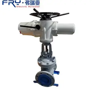 Z941Y-25 PN2.5 DN250 �и�ѹ����բ�� ���ܵ綯���Ʒ� ���ת�綯��