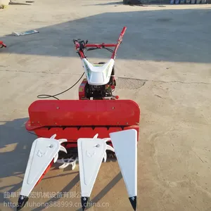 �̷��������ʵ����ո��/�ַ�ʽ�����ո��/��������֥���ɹ��