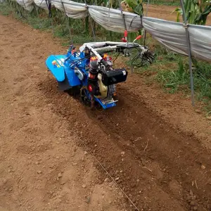 ΢��������¢�� ���ô����ֲ������¢�� ũҵ��е����������