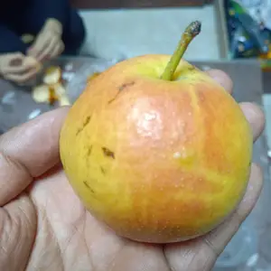 ������Ӧ������������ 2���ּ޽���������Ʒ��
