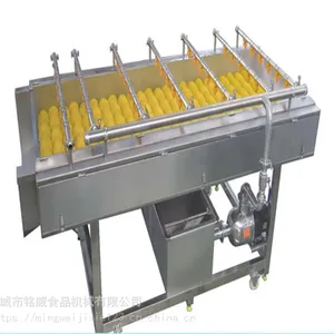 大枣清洗风干线 全自动大枣清洗设备厂家